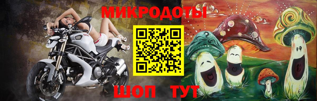 Псилоцибиновые грибы мицелий Надым